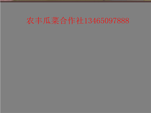 西瓜苗培育种植基地