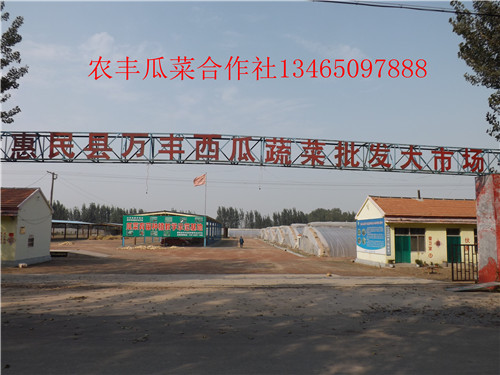 西瓜苗培育种植基地