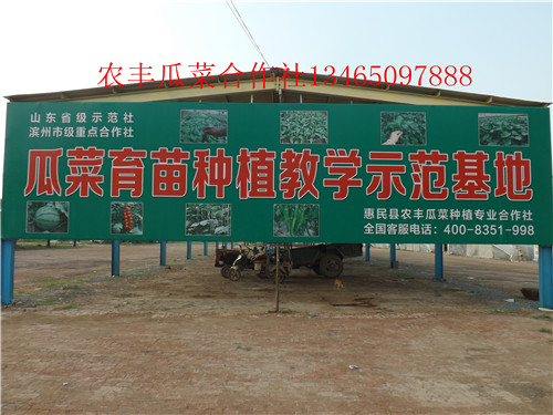 西瓜苗培育种植基地